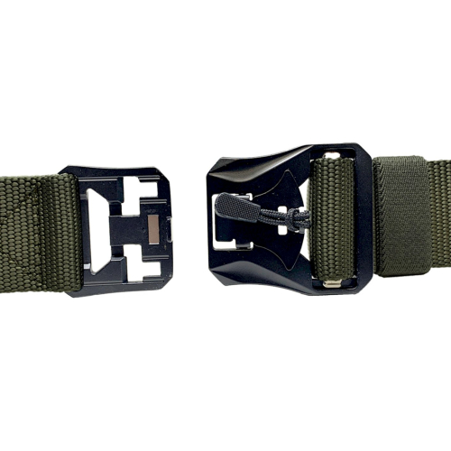 Past ATACS olive - Texar