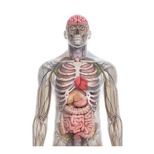 Tarcza strzelecka Hostage - Range Solutions