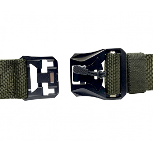 Past ATACS olive - Texar